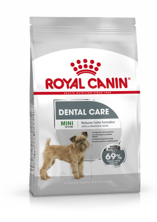 Mini Dental Care